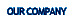 Our Company